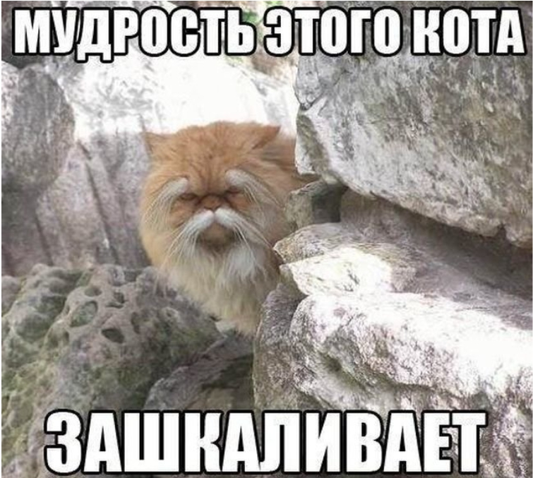 0393c8c9c8.jpg