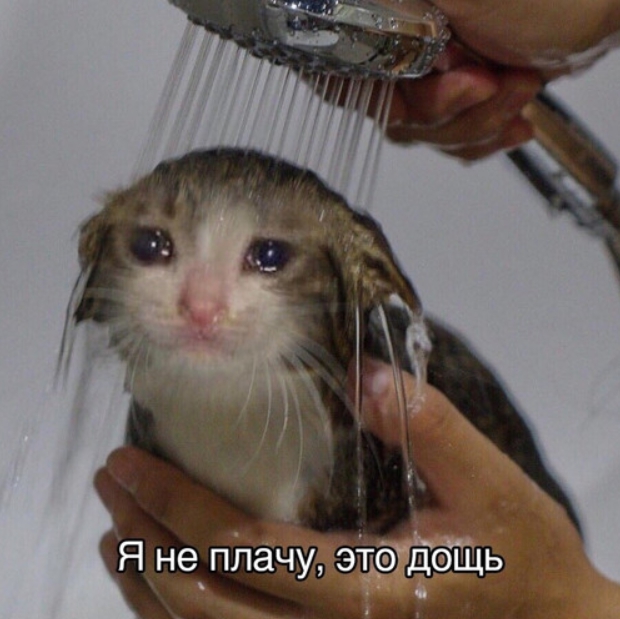 1597746462084.jpg