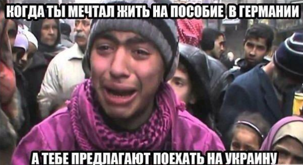 789546564.png