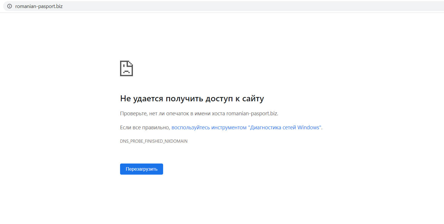 митьбьтим.png