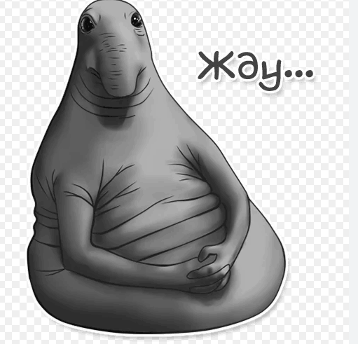 Жду.png